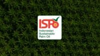 Indonesia Enforces Downstream ISPO: A New Era of Transparency in the Palm Oil Industry Palm Oil Magazine, FFB Price