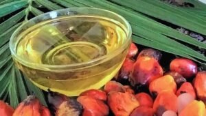 Palm Oil Magazine, SPKS