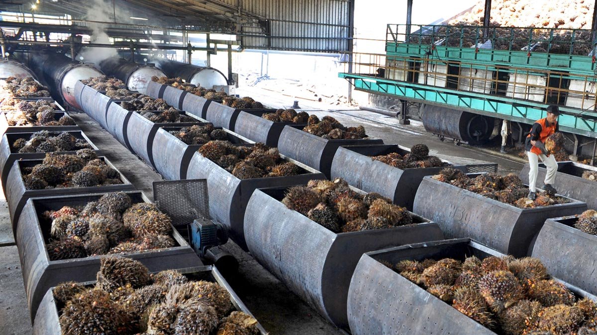 Indonesia Pushes for Stronger Palm Oil Growth, but Productivity and Technology Remain Key Challenges Palm Oil Magazine