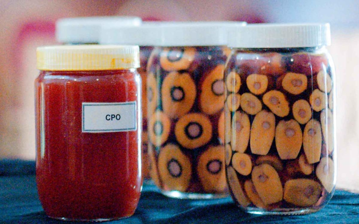 KPBN Inacom CPO Prices Withdraw on Monday (Jan 5), Malaysian Palm Oil Futures Edge Higher Palm Oil Magazine