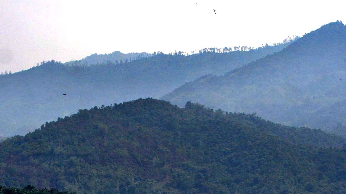 Kolibri Alliance Welcomes Revocation of 22 Forest Permits, Urges Nationwide Review to Prevent Recurring Floods Palm Oil Magazine,