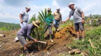 Palm Oil Replanting Program Transforms Smallholders into Productive and Sustainable Partners Palm Oil Magazine