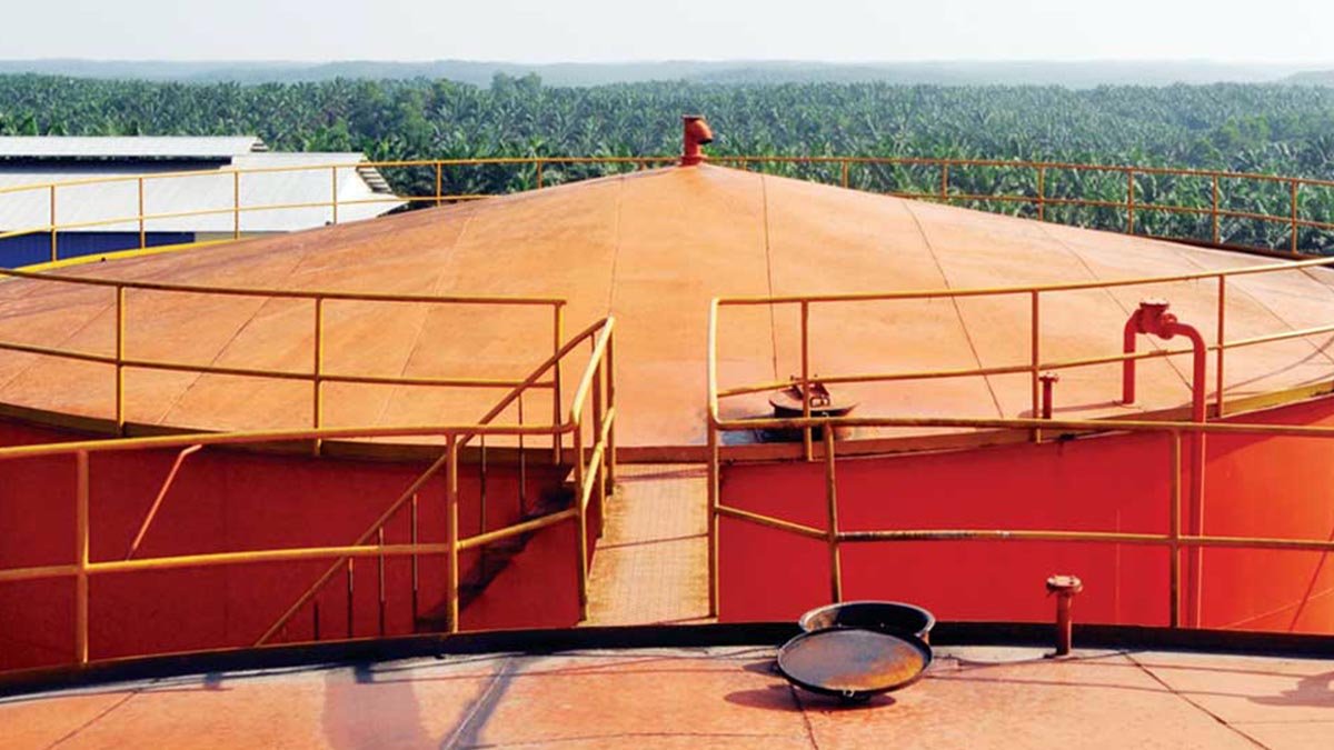 Indonesia’s KPBN CPO Price Climbs to IDR 15,615/Kg as Malaysia Market Rebounds Palm Oil Magazine