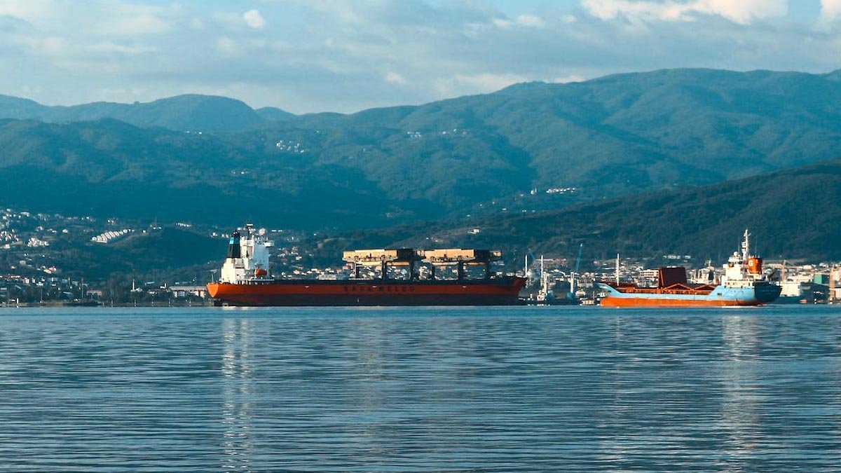 India Delays Vegetable Oil Purchases as Shipping Costs Surge Amid Middle East Tensions Palm Oil Magazine