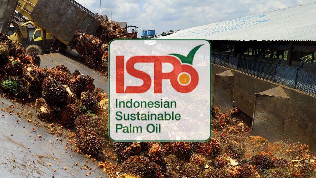 Palm Oil Magazine