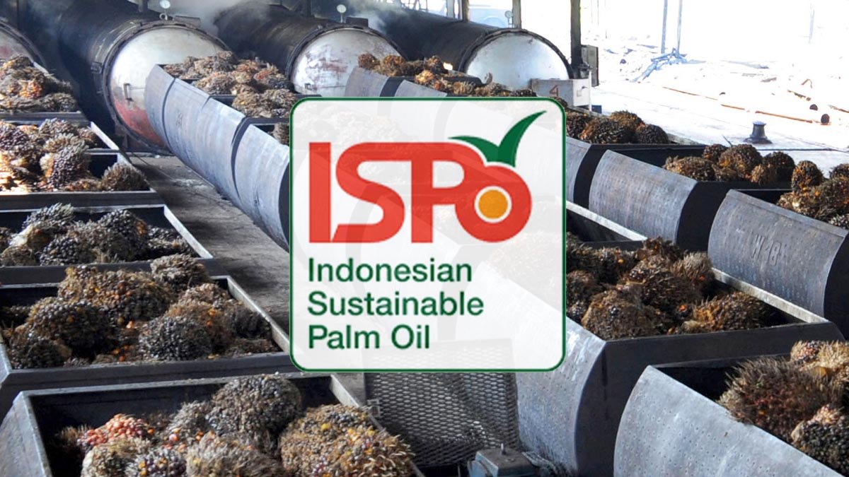 New ISPO Policy Expands to Downstream Sector, Indonesia Tightens Palm Oil Sustainability Standards Palm Oil Magazine