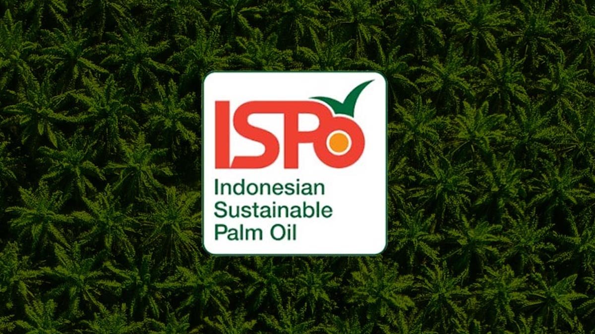 Palm Oil Magazine
