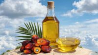 Malaysian CPO Prices Slide at Week’s End as Supply Pressure and Weak Demand Weigh on Market Palm Oil Magazine