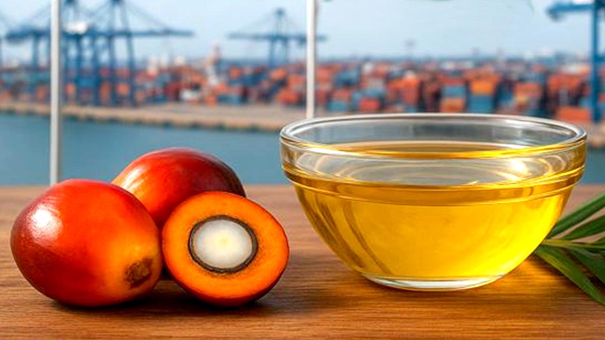 Indonesia Sets CPO Reference Price for April 2026 at USD 989.63/MT, Export Duty Increases Palm Oil Magazine