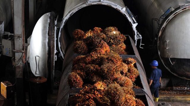 Palm Oil Magazine
