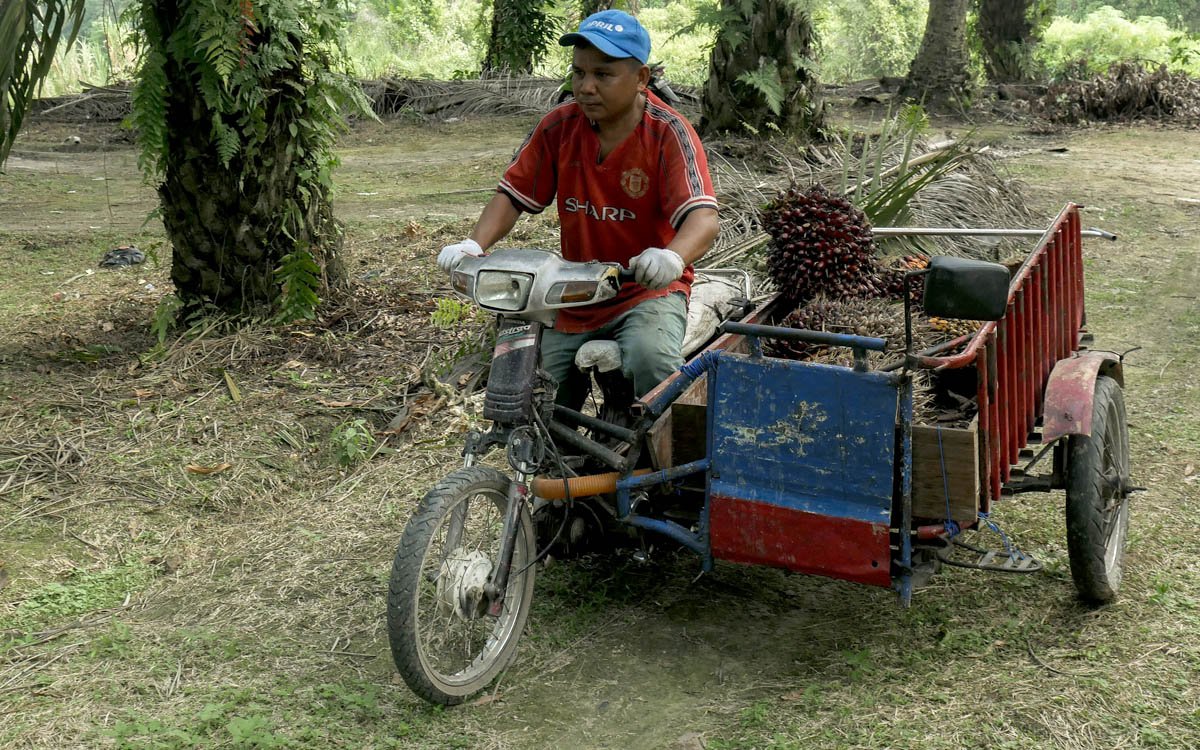 Palm Oil Magazine, FFB Prices