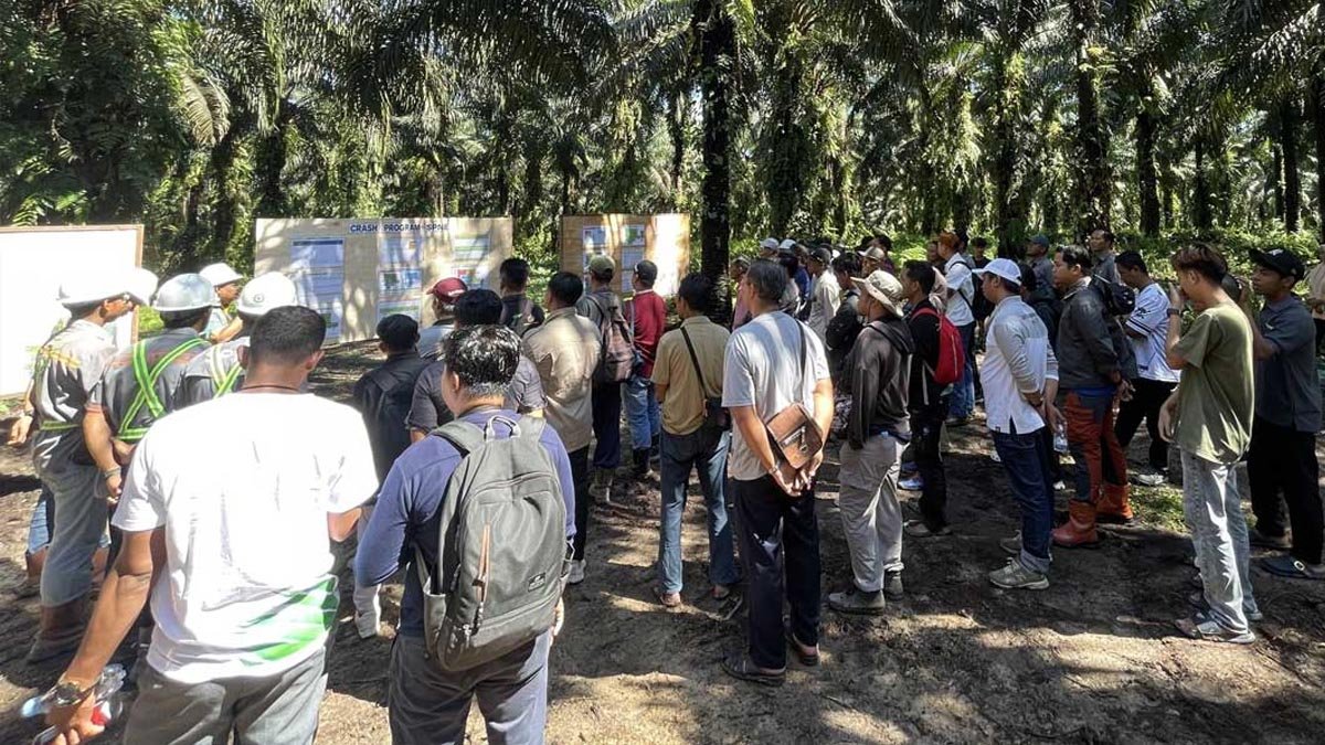 CPOPC Strengthens Smallholder Skills Through Practical GAP Training Programs Palm Oil Magazine