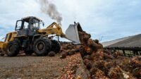 Palm Oil Magazine