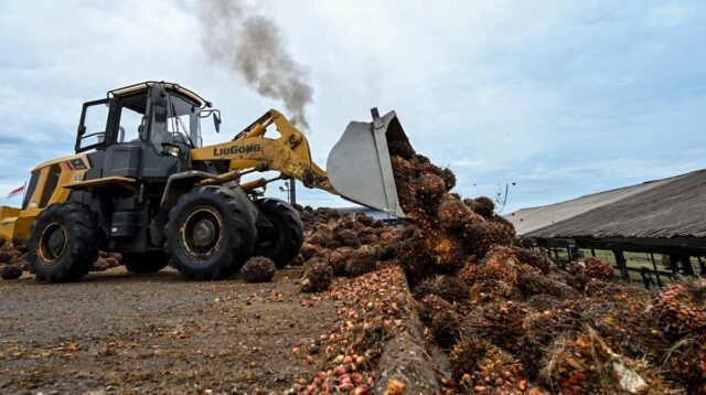 Palm Oil Magazine