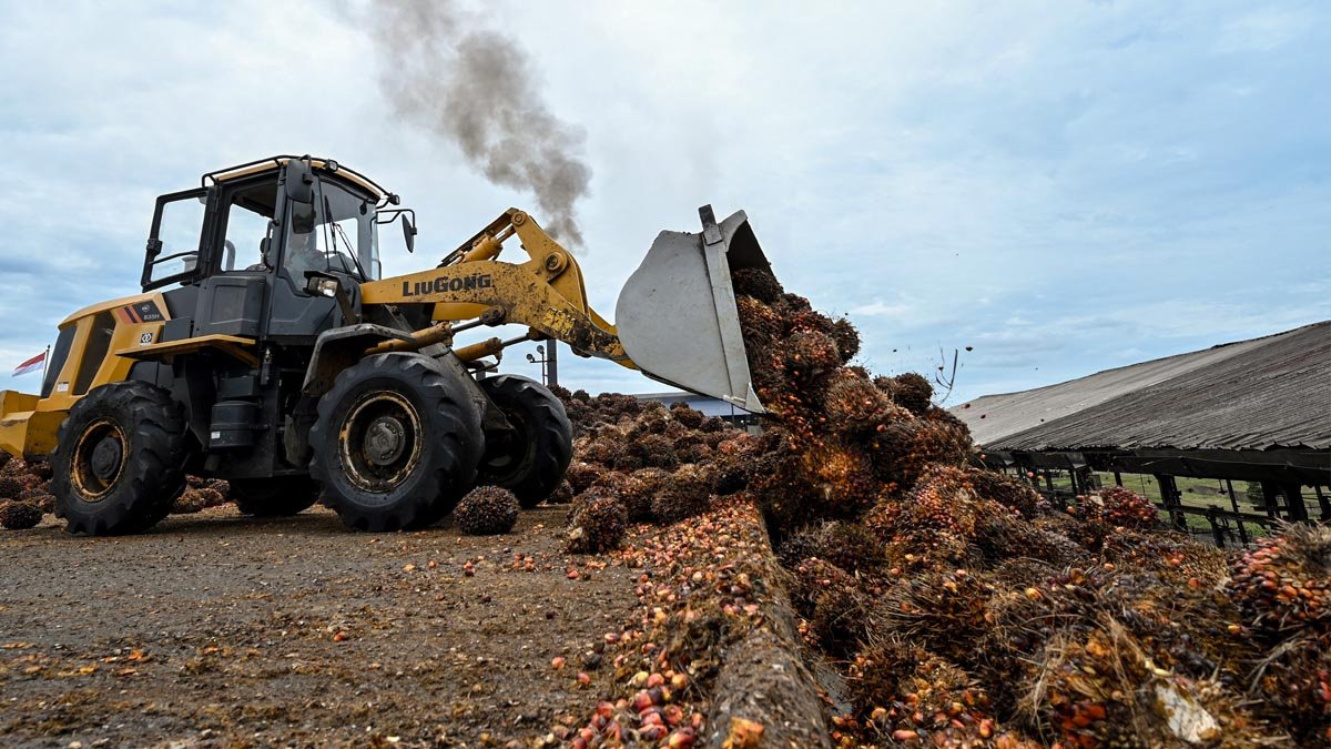 Palm Oil Magazine