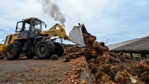 Palm Oil Magazine