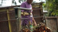 Palm Oil Magazine