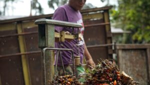 Palm Oil Magazine