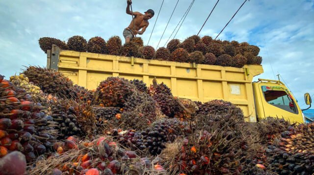 Palm Oil Magazine