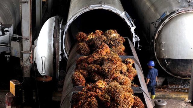 Palm Oil Magazine