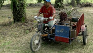 Palm Oil Magazine