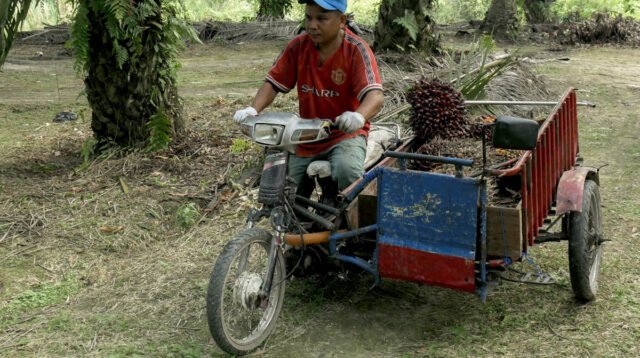 Palm Oil Magazine