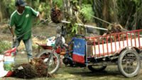 Palm Oil Magazine