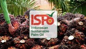 Palm Oil Magazine