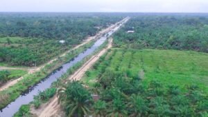 Palm Oil Magazine