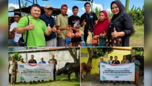 Palm Oil Magazine