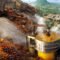 Palm Oil Magazine