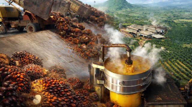Palm Oil Magazine
