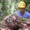 Palm Oil Magazine