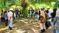Palm Oil Magazine