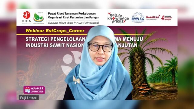 Palm Oil Magazine