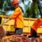 Palm Oil Magazine