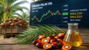 Palm Oil Magazine