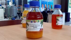 Palm Oil Magazine