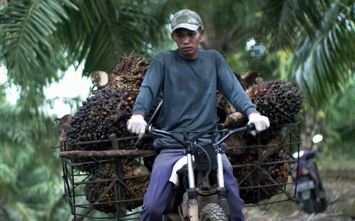 Palm Oil Magazine