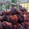 Palm Oil Magazine