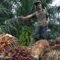Palm Oil Magazine
