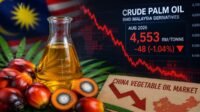 Palm Oil Magazine