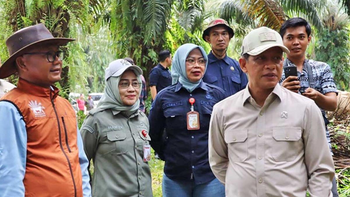 Palm Oil Magazine
