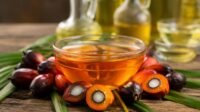 Malaysian CPO Futures Ease as Weaker Soyoil and Stronger Ringgit Weigh on Market Palm Oil Magazine
