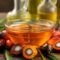 Palm Oil Magazine