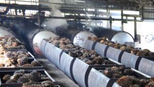 Palm Oil Magazine