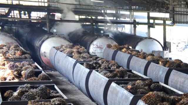 Palm Oil Magazine