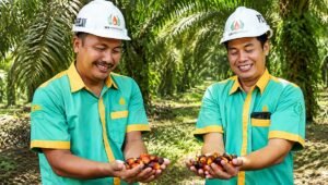 Palm Oil Magazine