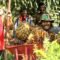 Palm Oil Magazine