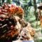 Palm Oil Magazine